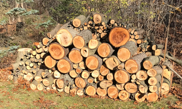 picture of stacked and split firewood