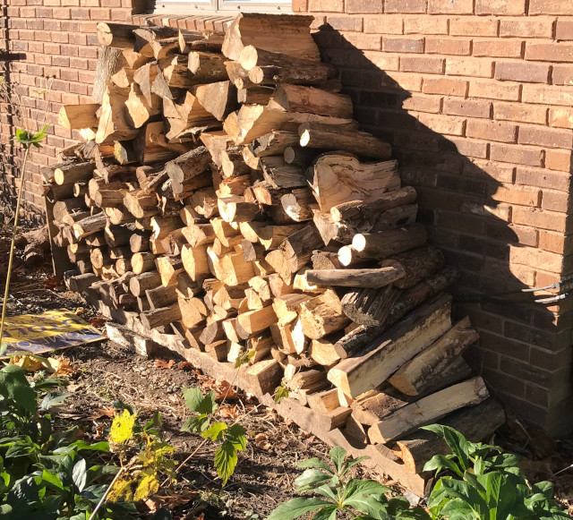 picture of stacked and split firewood