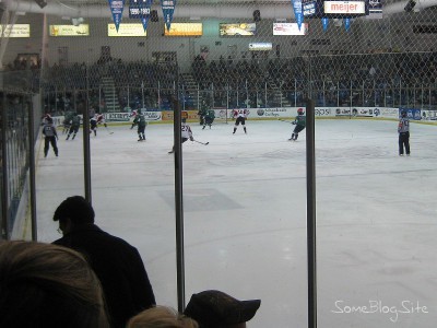 picture of a minor-league hockey game