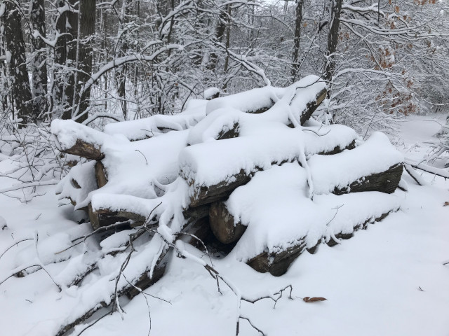 image of snowy scenery, snow and ice on trees