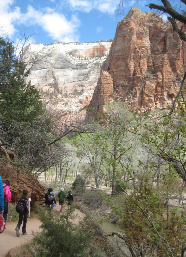 photo of the canyon as seen from the Riverwalk trail at Zion National Park